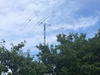R1DX Image
